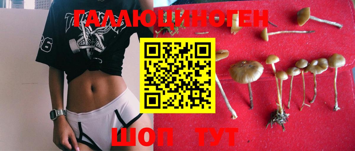 Псилоцибиновые грибы MAGIC MUSHROOMS Омск